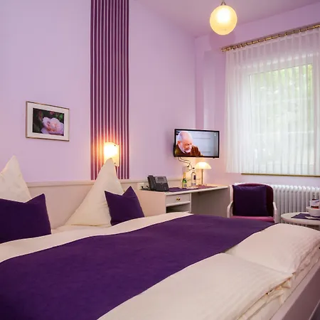 Hoehn 3* Rüdesheim am Rhein