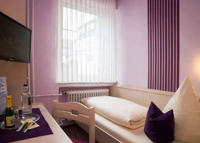 酒店 霍纳酒店 3*