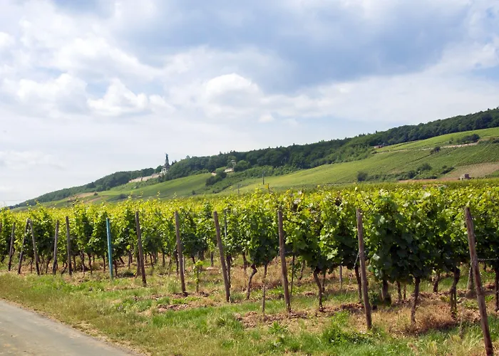 Hoehn Готель 3*