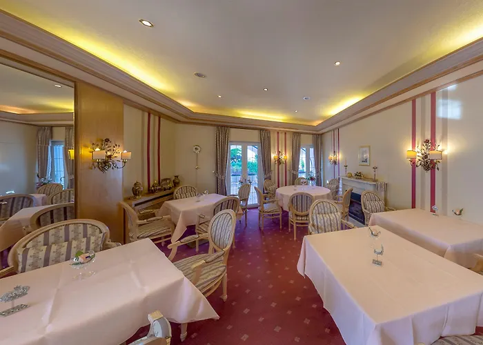 Hoehn 3* Рюдесгайм-ам-Райн